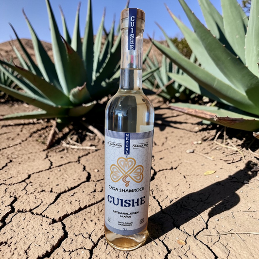 Mezcal Cuishe Artesanal - Agave Silvestre 15 años